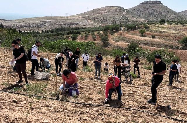Öğrencilerden Zeytin Dikimi Etkinliği