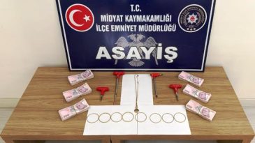 Hırsızlık Şüphelilerine Eş Zamanlı Operasyon