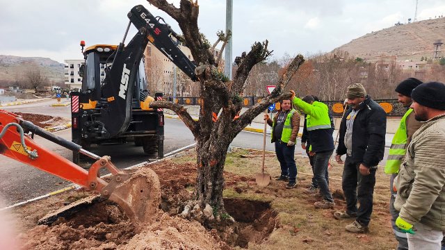 Savur’da Orta Refüjler Yenileniyor