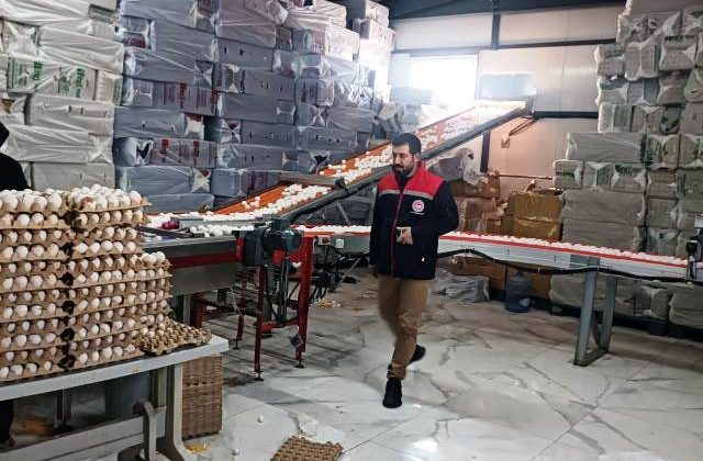 Mardin’de Gıda, Hayvan ve Bitki Sağlığı Denetimleri Sürüyor