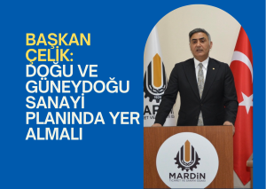 Mardin Ticaret ve Sanayi Odası (MTSO) Yönetim Başkanı Hatip Çelik: