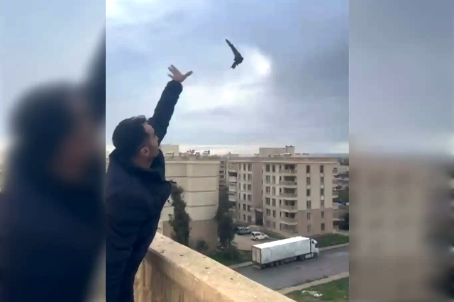 Mardin’in Nusaybin ilçesinde bir eve giren bitkin haldeki ebabil kuşu,