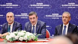 Güneydoğu’nun Yükünü Artık Mardin Taşıyor