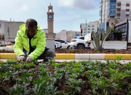 Artuklu’da Mevsimlik Çiçeklerle Renkli Dokunuş