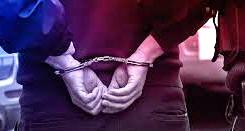 Dolandırıcılık Şüphelisi Yakalandı