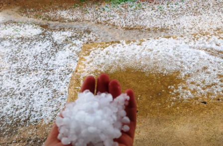Dolu yağışı tarım arazilerine zarar verdi