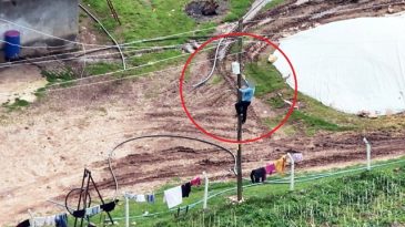 Dronu gören şahıs direğe tırmanıp kaçak hattı söktü