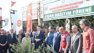 Nusaybin’de 5 Bin Zeytin Fidanı Dağıtıldı