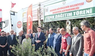 Nusaybin’de 5 Bin Zeytin Fidanı Dağıtıldı