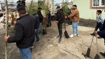 Daha Yeşil Bir Artuklu İçin Fidan Seferberliği