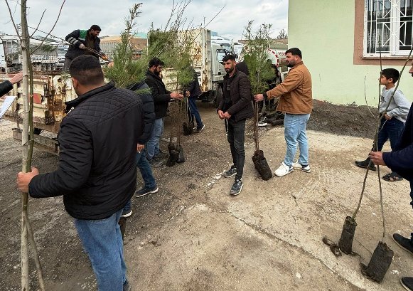 Daha Yeşil Bir Artuklu İçin Fidan Seferberliği