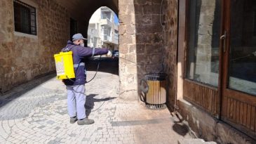 Haşereyle Mücadele Çalışmaları Sürüyor