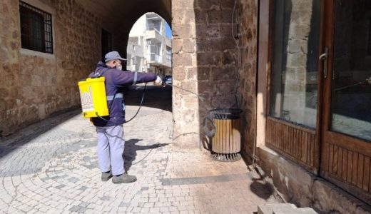 Haşereyle Mücadele Çalışmaları Sürüyor