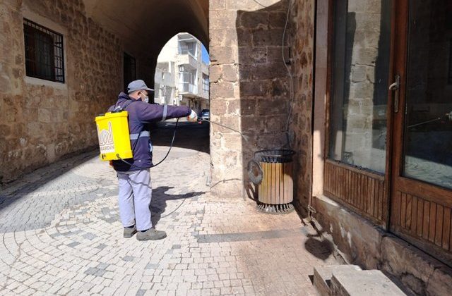 Haşereyle Mücadele Çalışmaları Sürüyor