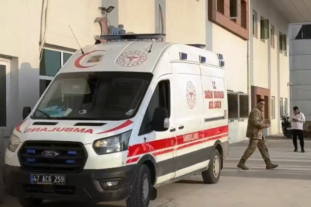 Mardin’in Nusaybin ilçesinde, arazide dolaşan 2 kardeşin kaldırdığı taşın altında