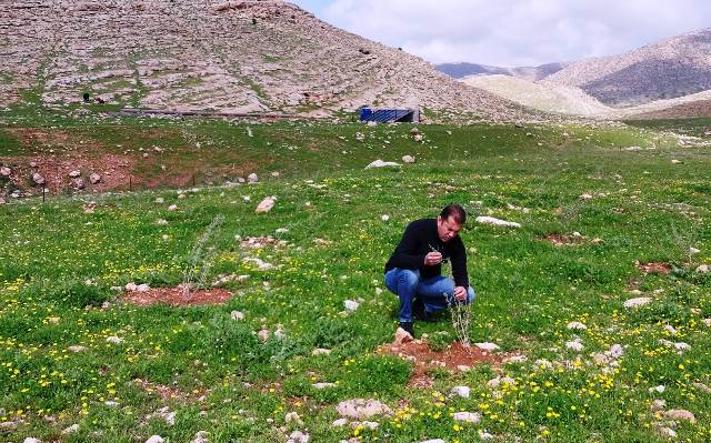 Mera Islah Çalışmaları Yerinde İncelendi