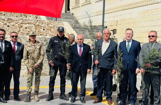 Yeşilli’de Rekor Fidan Dağıtımı