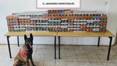 Mardin İl Jandarma Komutanlığı Kaçakçılık ve Organize Suçlarla Mücadele Şube