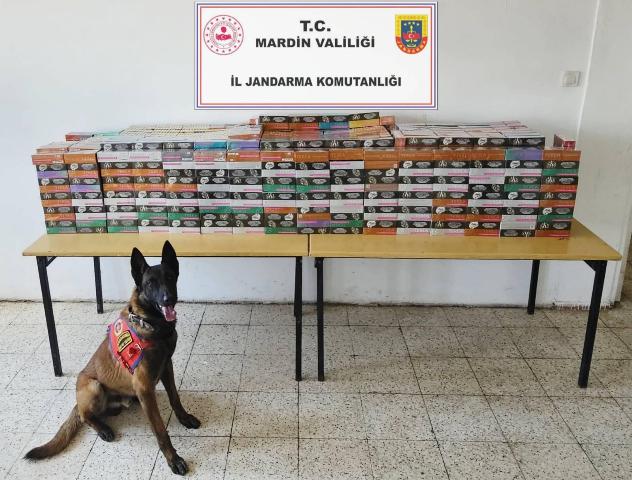 Mardin İl Jandarma Komutanlığı Kaçakçılık ve Organize Suçlarla Mücadele Şube