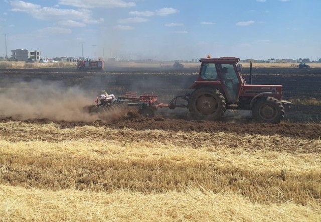 Mardin’in Kızıltepe ilçesinde yaklaşık 80 dönüm buğday ekili alan çıkan
