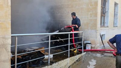 Mardin’in Nusaybin ilçesinde bir sitenin odunluk olarak kullanılan bölümünde yaygın