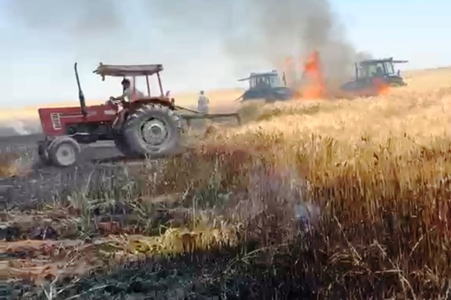 Mardin’in Nusaybin ilçesinde yaklaşık 500 dönümlük ekili buğday arazisi çıkan