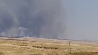 Mardin’in Derik ilçesinde çıkan anız yangınında, yaklaşık 10 dönüm biçilmemiş