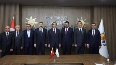 AK Parti Genel Başkan Yardımcısı, MKYK Üyesi ve Yerel Yönetimler