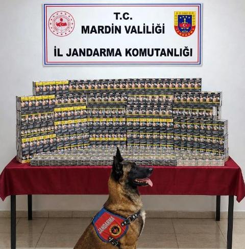 Mardin İl Jandarma Komutanlığı Kaçakçılık ve Organize Suçlarla Mücadele Şube